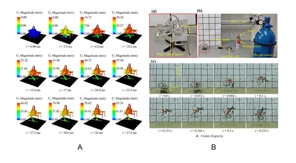 图3A.模拟跳跃机器人的位移结果；B.跳跃机器人实验图