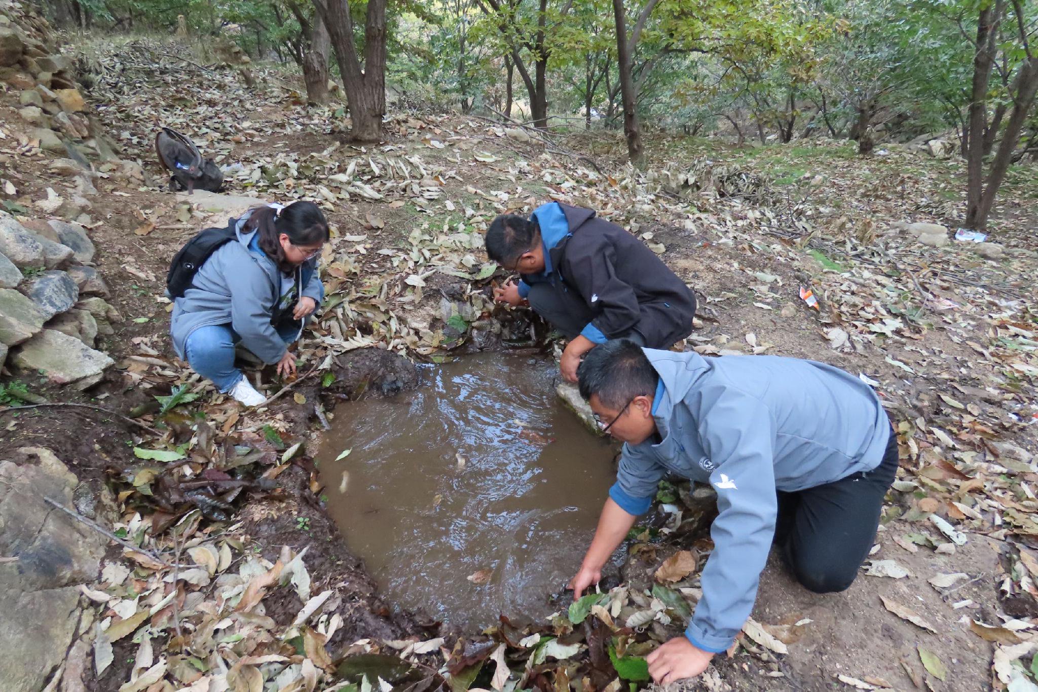 青岛生物多样性调查评估项目