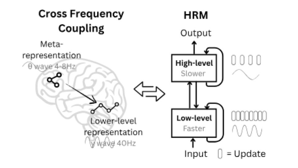 图 1：HRM 方法从大脑中不同频率的信号处理中汲取灵感。