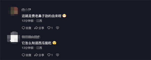 让人意外！牛居然会开西瓜吃  真是“费了老鼻子劲”了