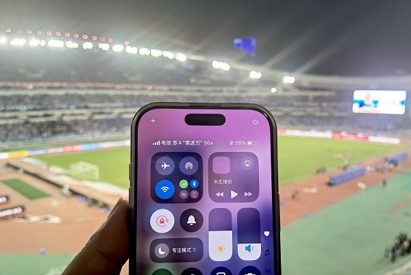 图 4（图为南京队 苏A“南波万”显标）