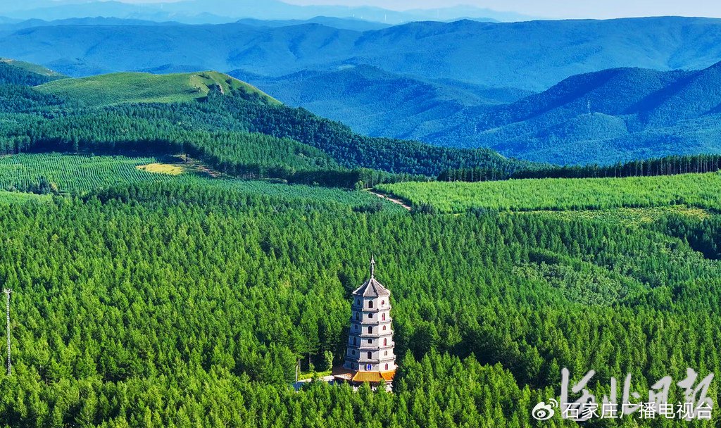 机械林场天气预报