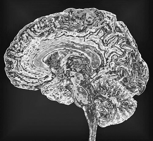 图片来源：K H Fung