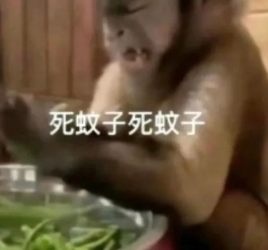 能不能让蚊子彻底灭绝啊！科学家：正在努力