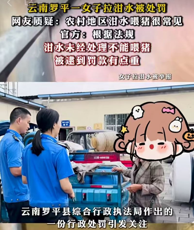 ▲看待“拉泔水喂猪被处罚”，不能情绪先行，还是要回归到事实与法律层面，客观看待。图/澎湃新闻视频截图