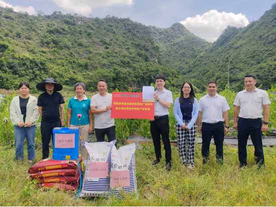 ▲人保财险崇左分公司落地全国首单星油藤保险，并向农户捐赠防灾物资。