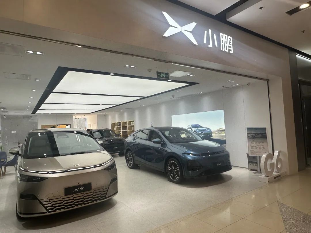 吴迪 摄