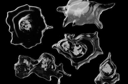 图片来源:LAUREN MURPHY