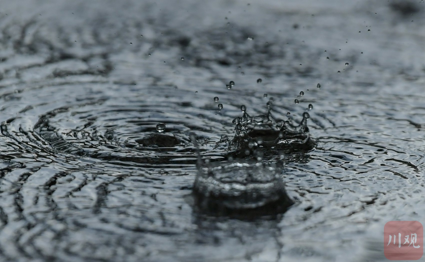 c视频丨暴雨袭击成都东部新区 多图直击雨滴落下瞬间