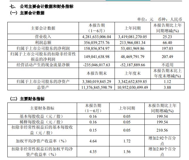 国电南自2025年半年度报告截图