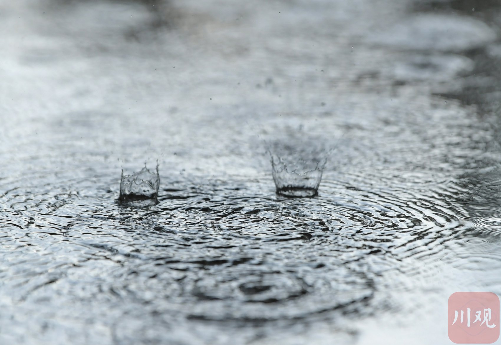 c视频丨暴雨袭击成都东部新区 多图直击雨滴落下瞬间