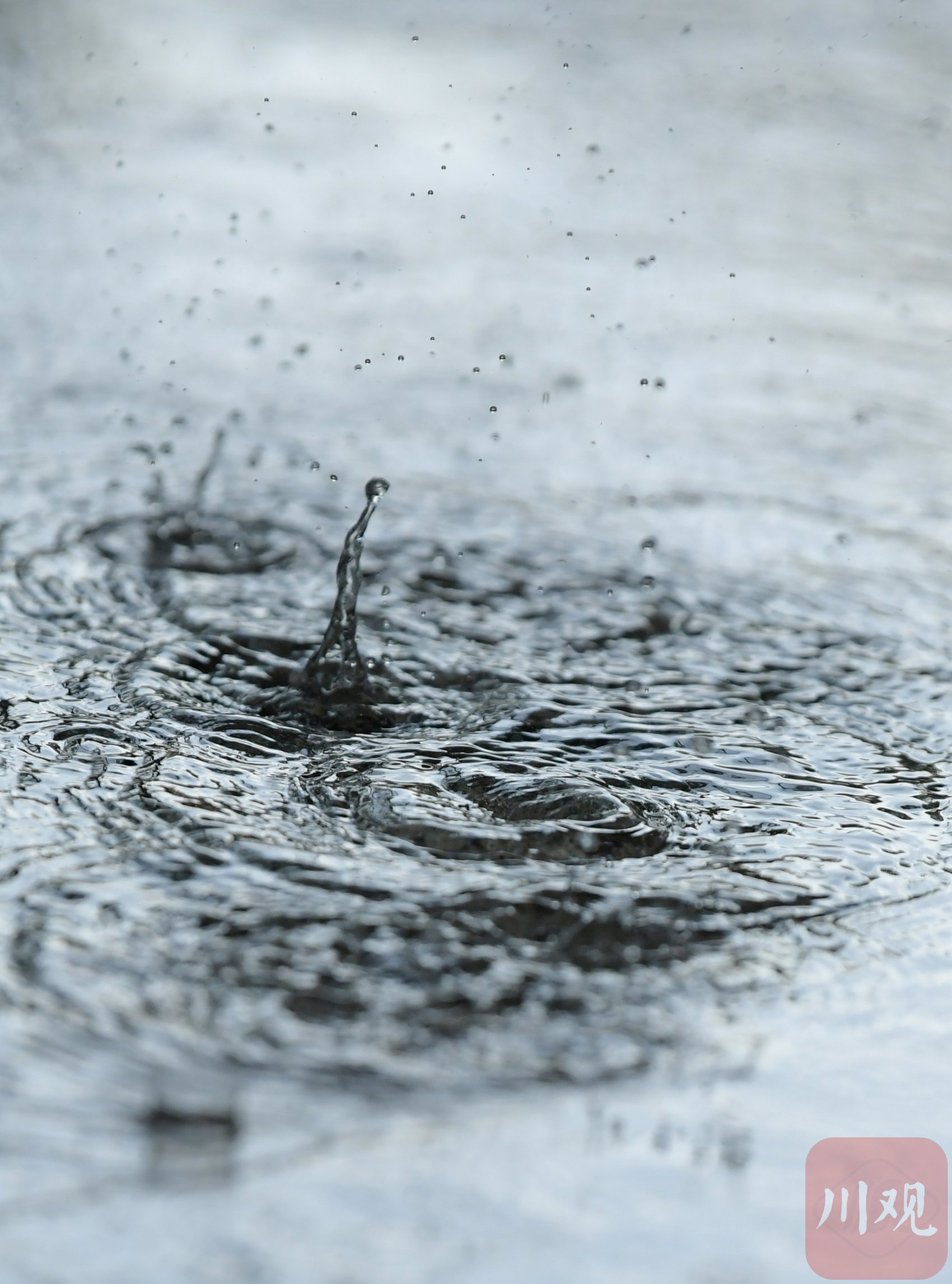 c视频丨暴雨袭击成都东部新区 多图直击雨滴落下瞬间