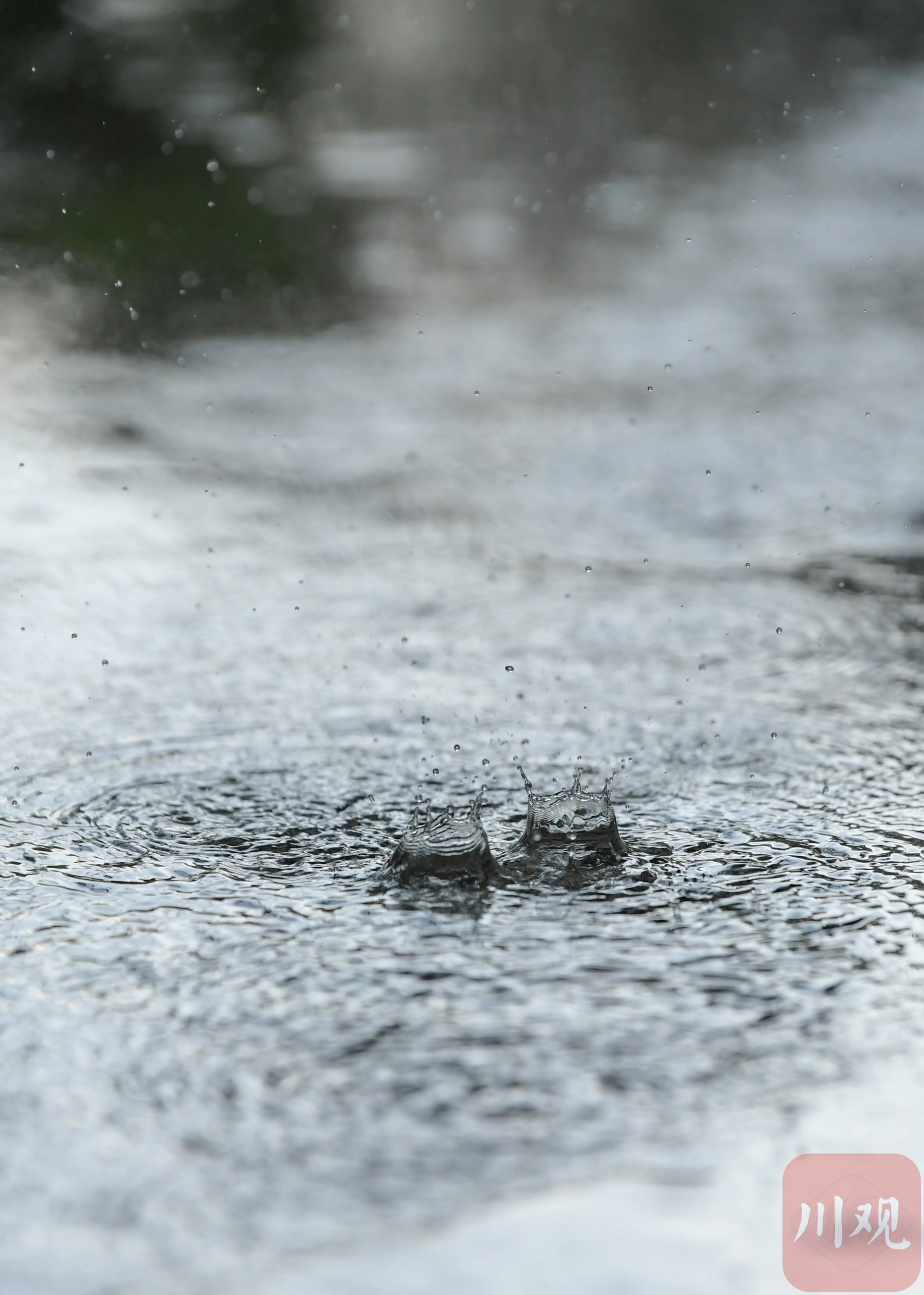 c视频丨暴雨袭击成都东部新区 多图直击雨滴落下瞬间