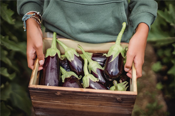 责任编辑：鹿角