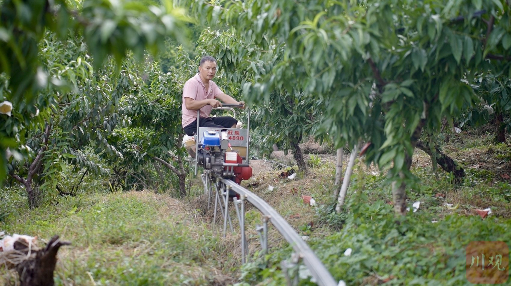 杨义明驾驶单轨运输车