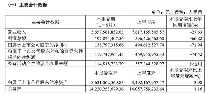 太极集团《2025年半年度报告》截图，下同。