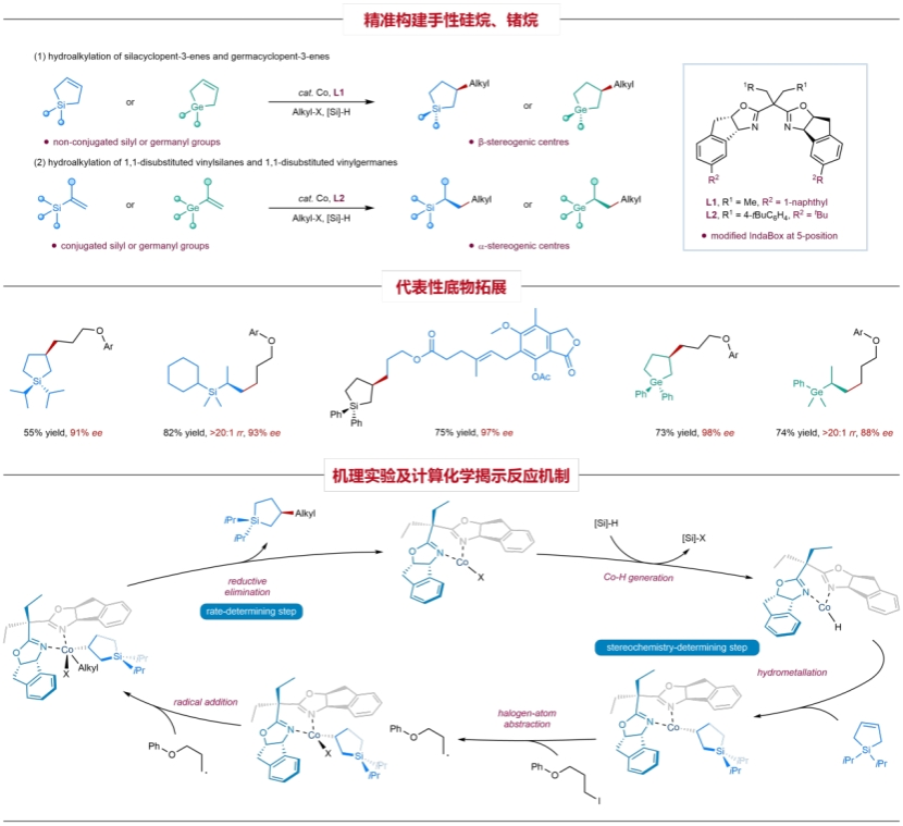 图1.碳-碳偶联合成手性有机硅烷、锗烷