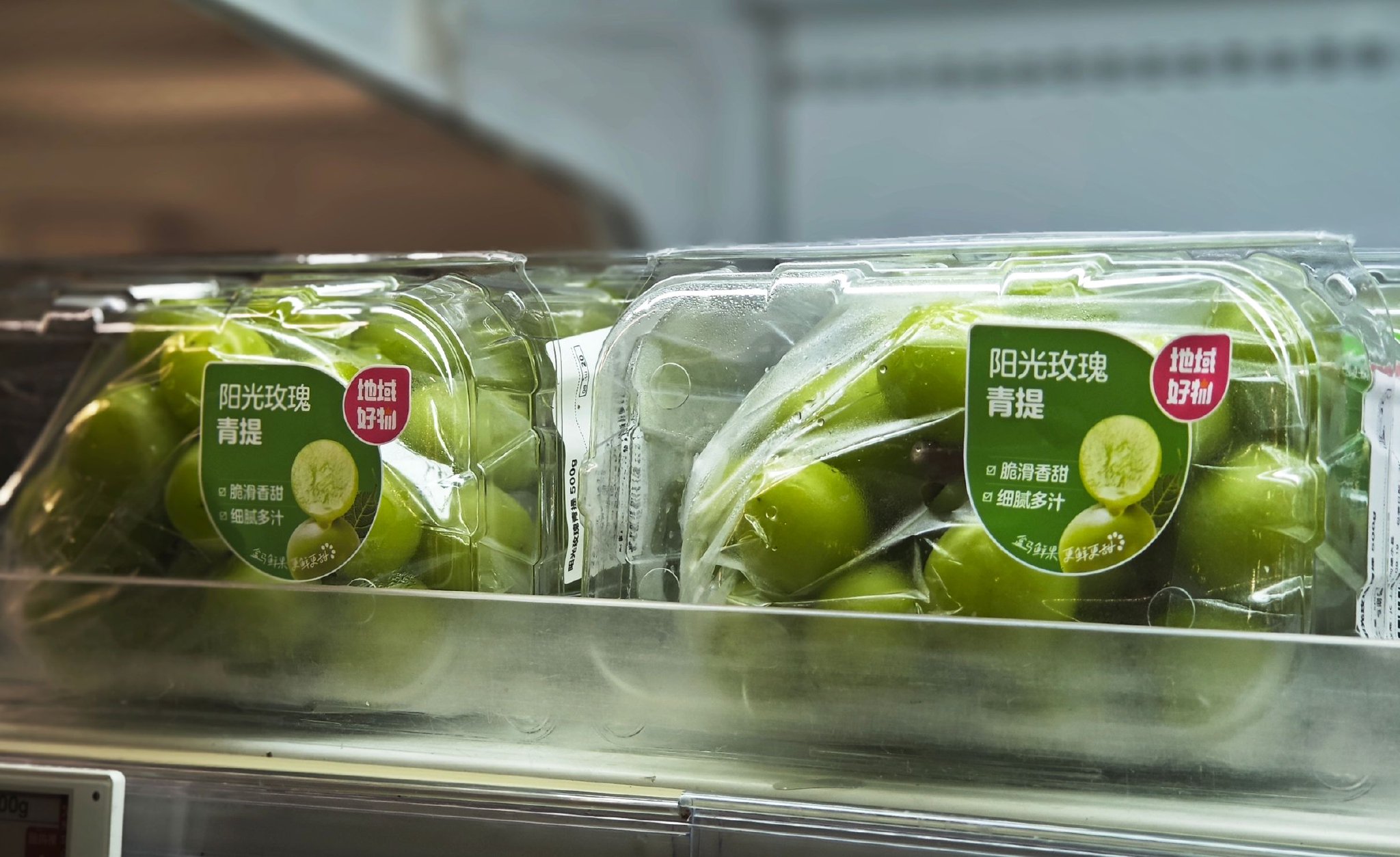 阳光玫瑰 时代财经摄