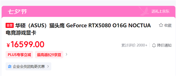 RTX 5080已是MSRP两倍：猫头鹰本还想推RTX 5090联名显卡！奈何芯片不足