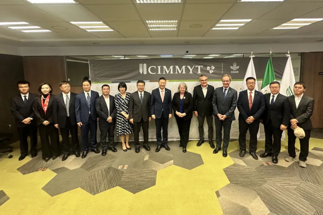 ▲参会人员合影