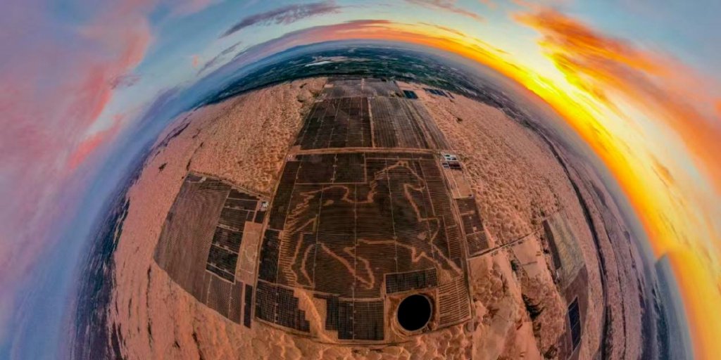 ▲内蒙古公司达拉特“骏马”光伏电站，采用“林光互补”模式，实现生态效益和经济效益双赢。