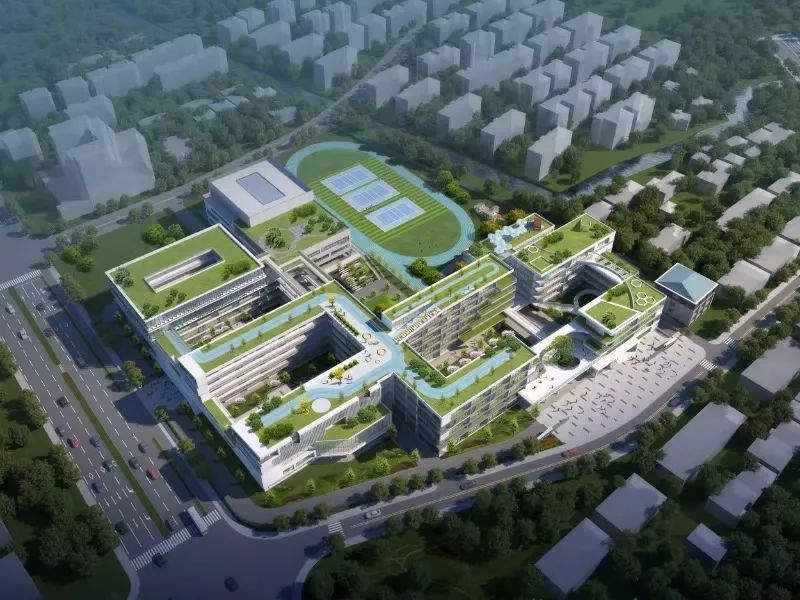在家门口上好学!桐乡学校"上新"中