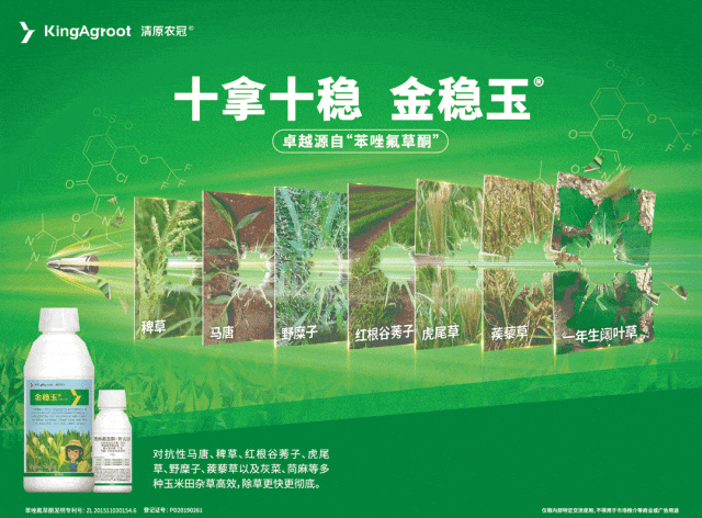 （本图为广告，与下文无关）