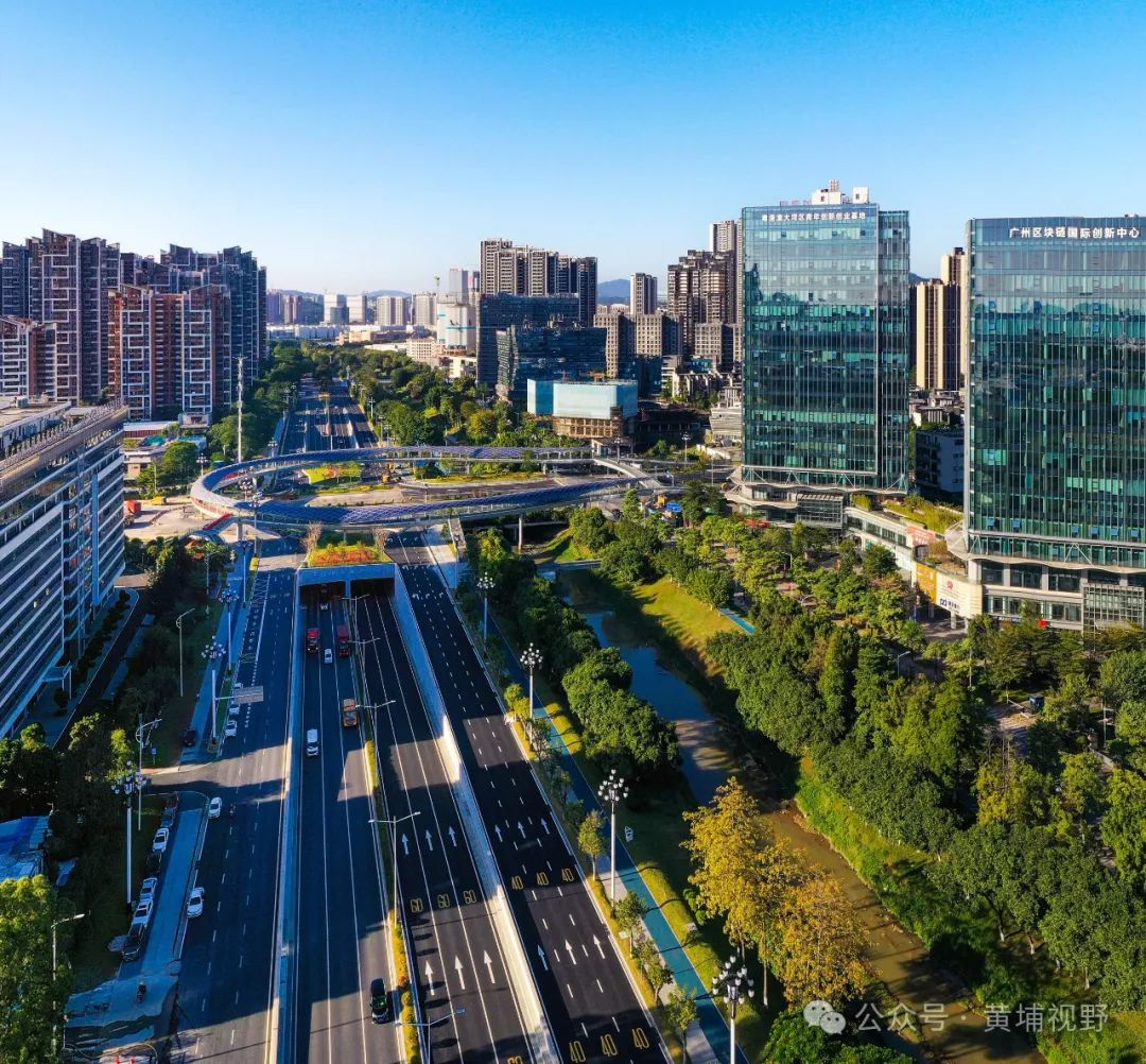 云埔街开源大道沿线，拥有黄埔区最密集的专精特新产业园区。图/贾自豪