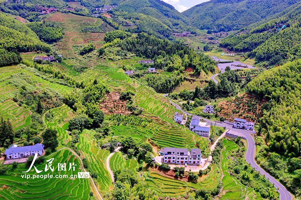 江西崇义:初秋梯田景如画
