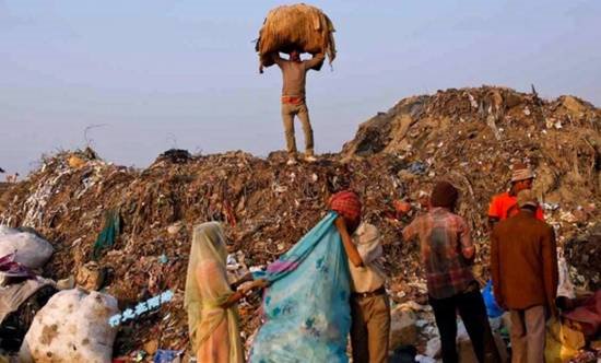 责任编辑：雪花