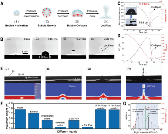 国内两所高校同日官宣校史突破，以第一单位在国际顶刊发文