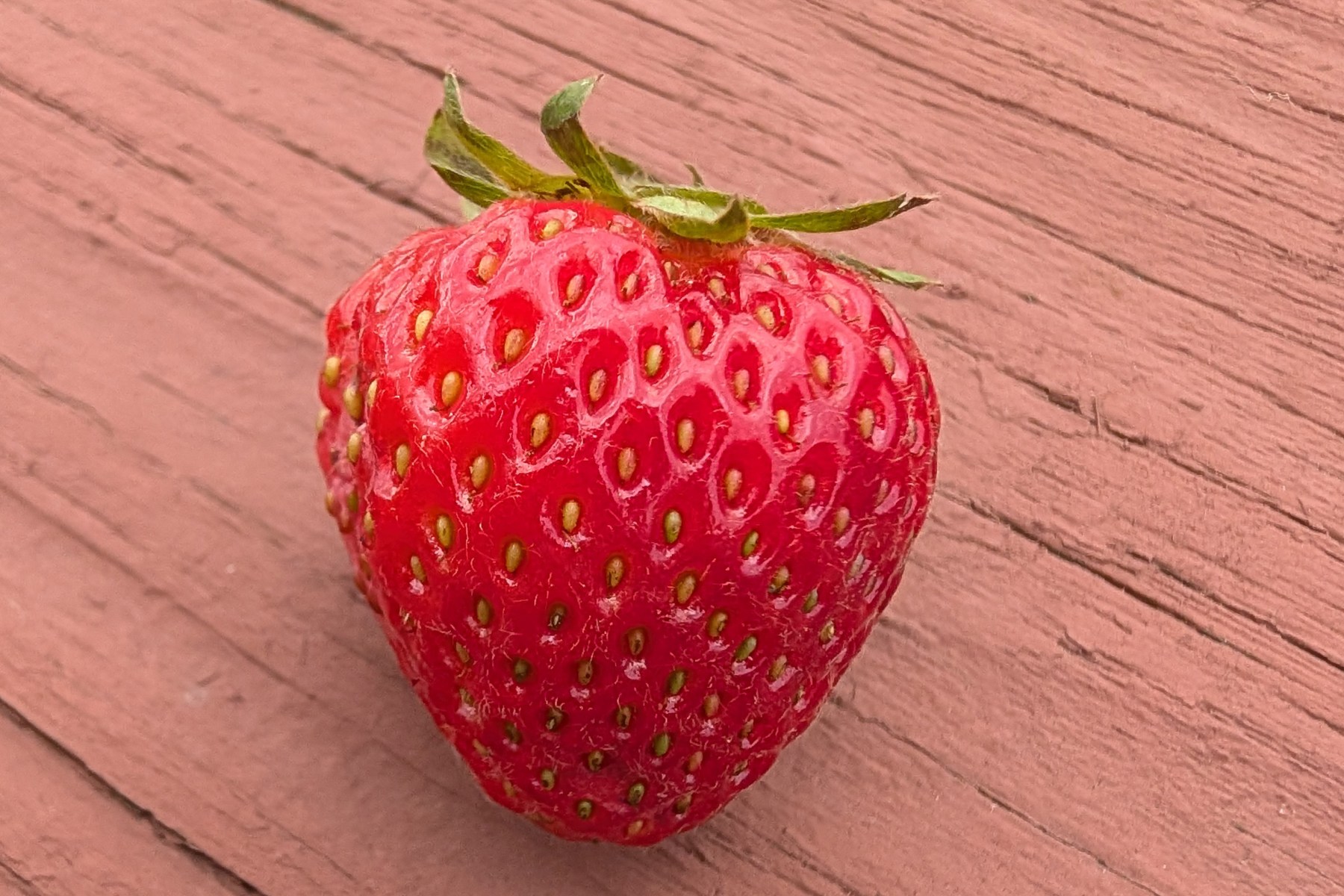 谷歌 Pro-Res Zoom 变焦效果