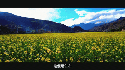 責任編輯：次仁央宗????