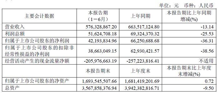 盛剑科技2025上半年业绩承压 核心业务稳健增长第二季度毛利率环比回升​