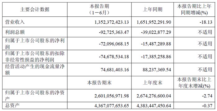 赛伍技术上半年营收13.52 亿元，显示和声学重点产品有望持续放量
