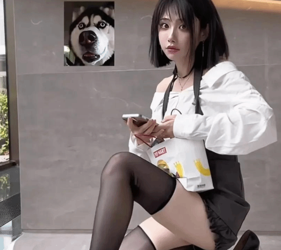 责任编辑：建嘉