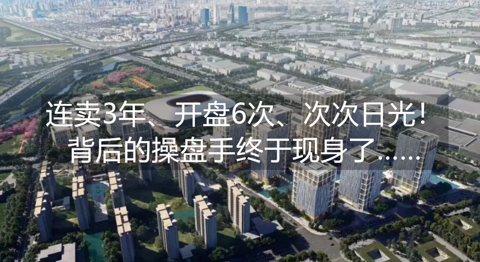 主编：张艳