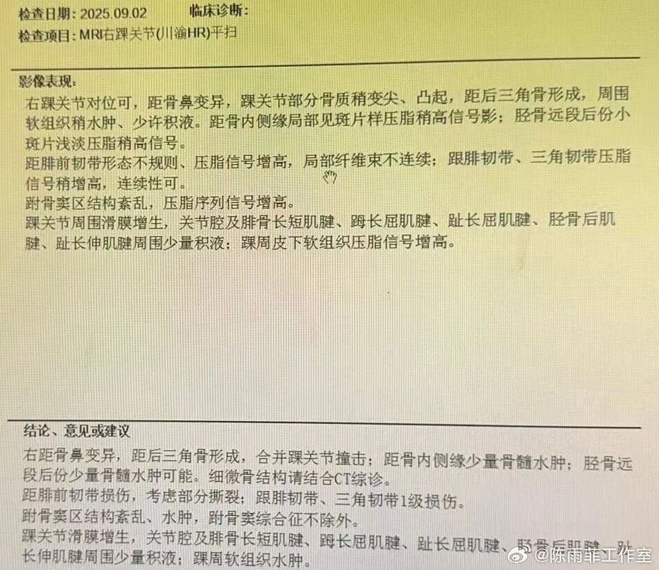 陈雨菲公布伤情:右脚踝踝后撞击并伴少量骨髓水肿,前距腓韧带部分撕裂
