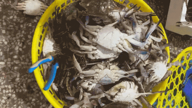 图源：浙江发布