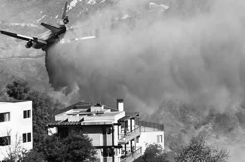 图片来源：MARIO TAMA