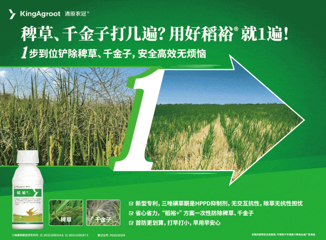 （本图为广告，与下文无关）