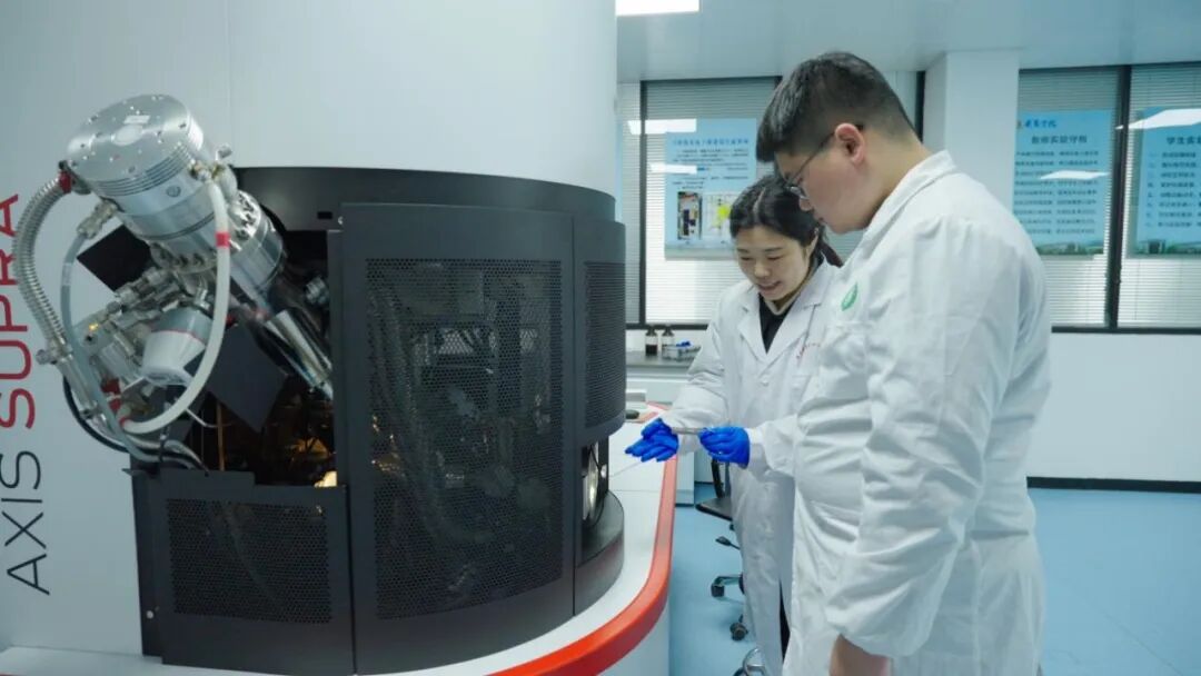 研究中心人员对竹基材料进行测试