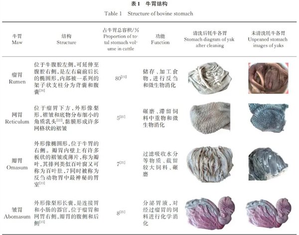 图：参考文献[1]