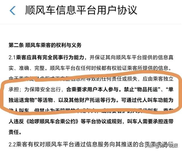 pm9000怎么看稀有“黄金下司犬”死于700公里顺风车托运，狗主人索赔9000元，平台：不建议托运宠物，已限制涉事车主接单_https://www.jmylbn.com_新闻资讯_第4张