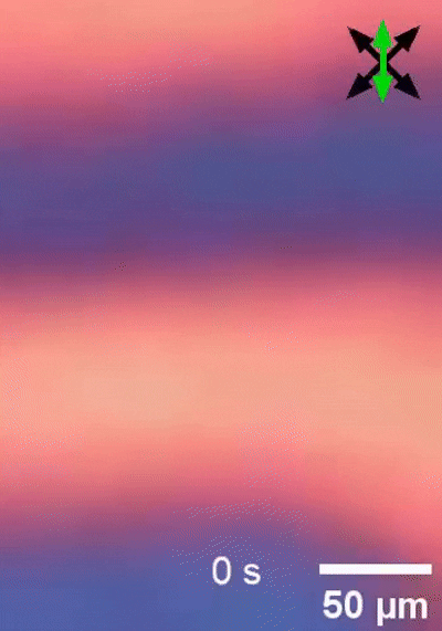 ▲ 随时间运动的时间晶体