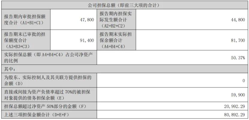 （担保情况，图源：万辰集团2025年中报）