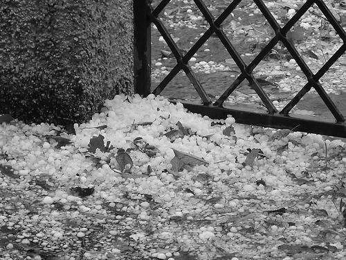 图片来源：Pixabay