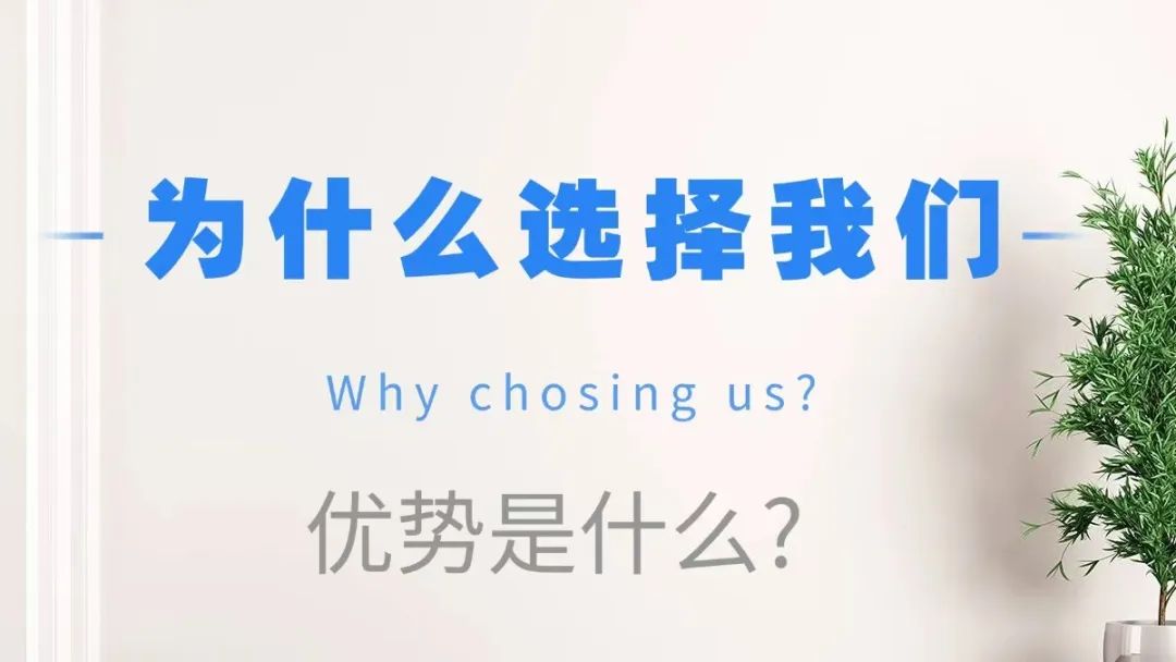 为什么选择我们公司