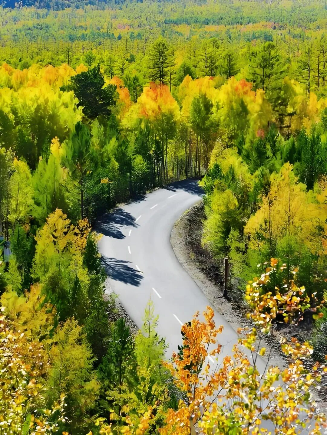 莽莽林海风景如画