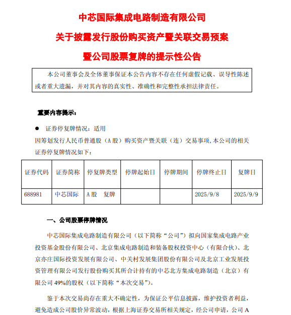 图源：截图自中芯国际公告